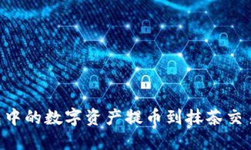 如何将TP钱包中的数字资产提币到抹茶交易所：全面指导