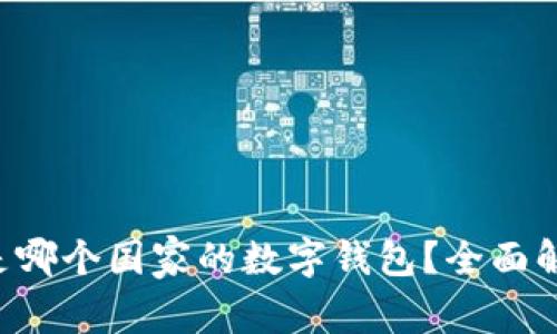 TPWallet 是哪个国家的数字钱包？全面解析及其背景