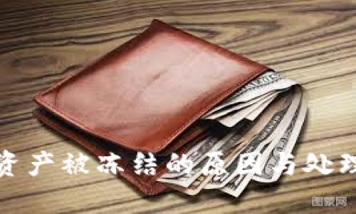 TP冷钱包资产被冻结的原因与处理方法详解