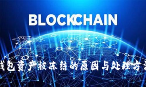 TP冷钱包资产被冻结的原因与处理方法详解