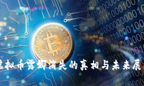 虚拟币露娜消失的真相与未来展望