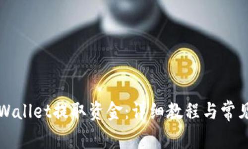 如何从TPWallet提取资金：详细教程与常见问题解答