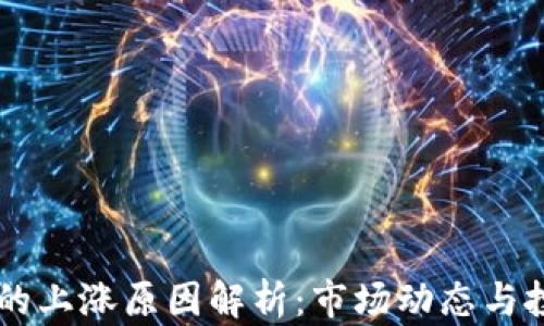 
虚拟币YO的上涨原因解析：市场动态与投资者心理