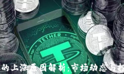 
虚拟币YO的上涨原因解析：市场动态与投资者心理