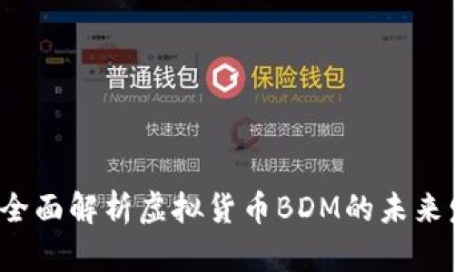 什么是BDM币？全面解析虚拟货币BDM的未来发展与投资潜力
