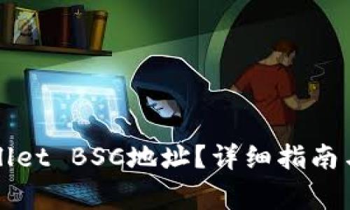 如何查看TPWallet BSC地址？详细指南与常见问题解答