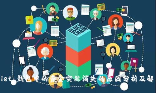 TPWallet 钱包中的资金突然消失的原因分析及解决方案