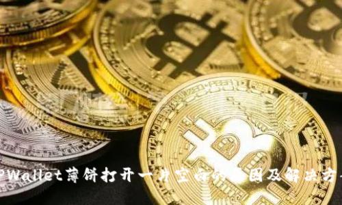 TPWallet薄饼打开一片空白的原因及解决方案