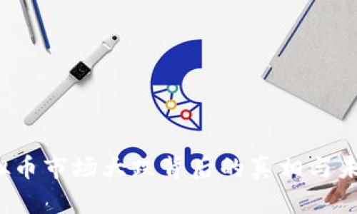 2023年虚拟币市场大跌背后的真相与未来趋势分析