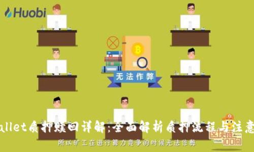 TPWallet质押赎回详解：全面解析质押流程与注意事项