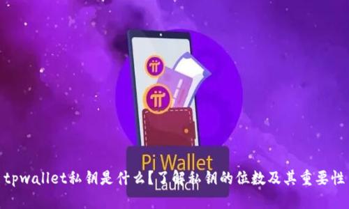 tpwallet私钥是什么？了解私钥的位数及其重要性
