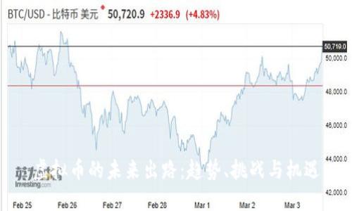 虚拟币的未来出路：趋势、挑战与机遇