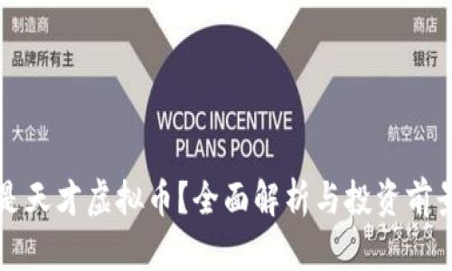 什么是天才虚拟币？全面解析与投资前景分析