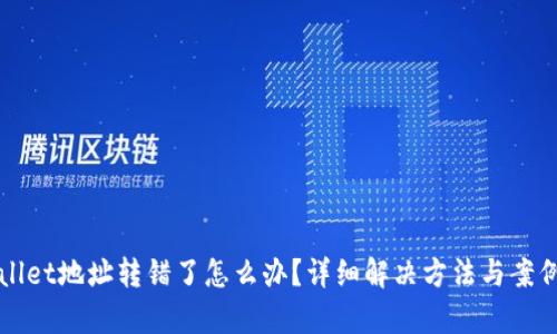 TPWallet地址转错了怎么办？详细解决方法与案例分析