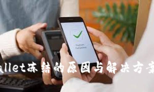 TPWallet冻结的原因与解决方案详解