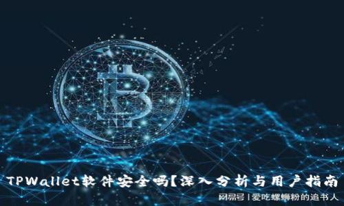 TPWallet软件安全吗？深入分析与用户指南