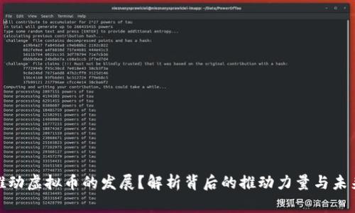 谁在推动虚拟币的发展？解析背后的推动力量与未来趋势