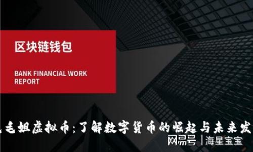 毛毛姐虚拟币：了解数字货币的崛起与未来发展