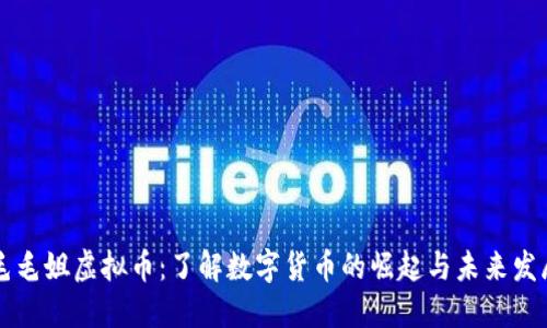 毛毛姐虚拟币：了解数字货币的崛起与未来发展