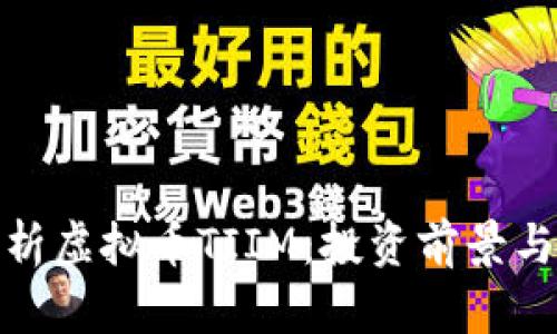 : 全面解析虚拟币TIIM：投资前景与风险分析