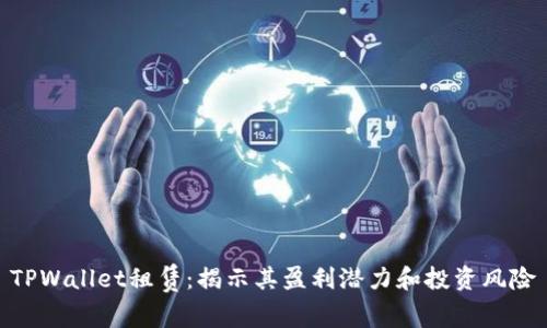 TPWallet租赁：揭示其盈利潜力和投资风险