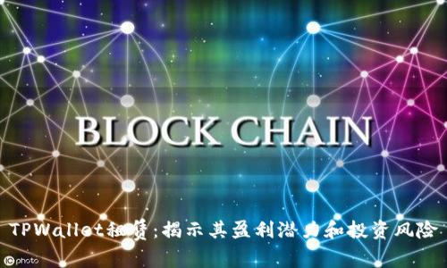 TPWallet租赁：揭示其盈利潜力和投资风险