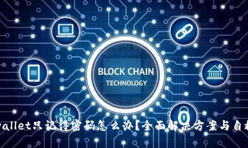 : tpwallet只记得密码怎么办？全面解决方案与自救指南