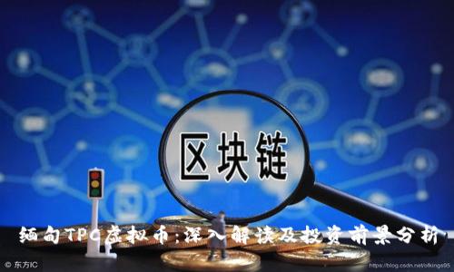 缅甸TPC虚拟币：深入解读及投资前景分析