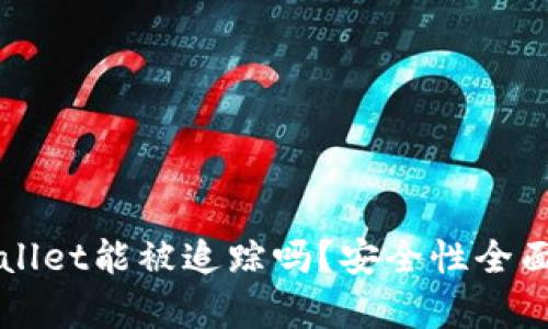 TPWallet能被追踪吗？安全性全面解析