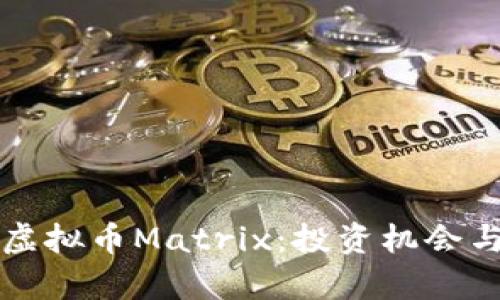 彻底解析虚拟币Matrix：投资机会与风险分析