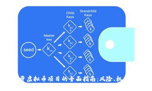 2024年投资虚拟币项目的全面指南：风险、机会与成功策略