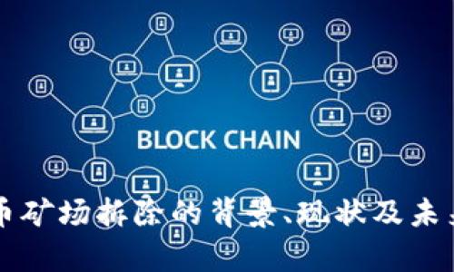 四川虚拟币矿场拆除的背景、现状及未来影响分析