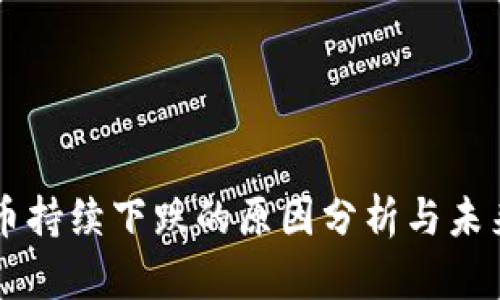 虚拟币持续下跌的原因分析与未来展望