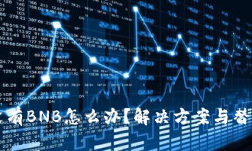 TPWallet没有BNB怎么办？解决方案与替代选项详解