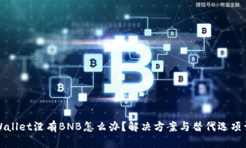 TPWallet没有BNB怎么办？解决方案与替代选项详解