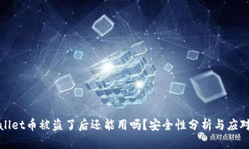 TPWallet币被盗了后还能用吗？安全性分析与应对措施