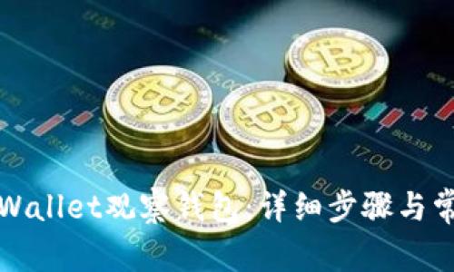 如何使用TPWallet观察钱包：详细步骤与常见问题解答