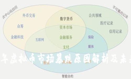 2013年虚拟币市场暴跌原因解析及未来展望