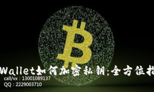 TPWallet如何加密私钥：全方位指南