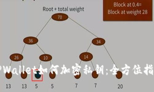 TPWallet如何加密私钥：全方位指南
