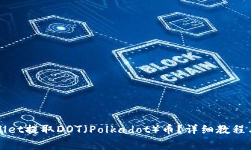 如何通过TPWallet提取DOT（Polkadot）币？详细教程与常见问题解答