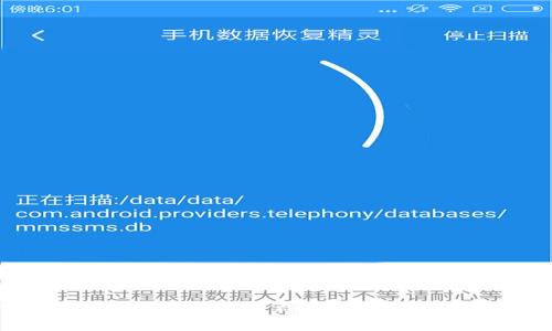 TPWallet：适合哪些用户群体的数字资产管理工具