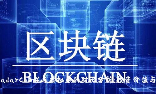 雷达币（RadarCoin）与虚拟币的对比分析：投资价值与未来趋势