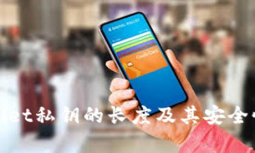 tpwallet私钥的长度及其安全性分析