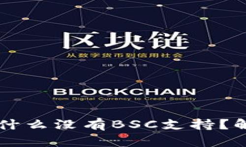 TPWallet电脑版为什么没有BSC支持？解决方法与使用指南
