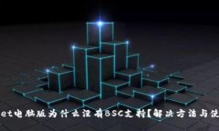 TPWallet电脑版为什么没有BSC支持？解决方法与使用