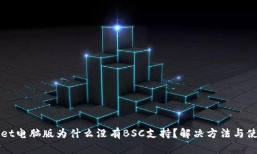 TPWallet电脑版为什么没有BSC支持？解决方法与使用指南