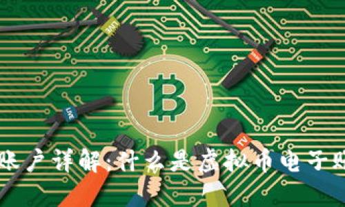 虚拟币电子账户详解：什么是虚拟币电子账户及其运用