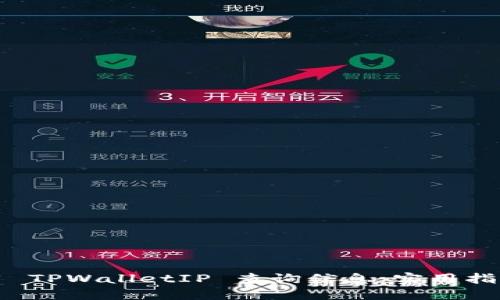 如何使用 TPWalletIP 查询信息：实用指南与技巧