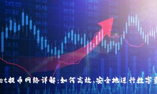 TPWallet提币网络详解：如何高效、安全地进行数字资产提币